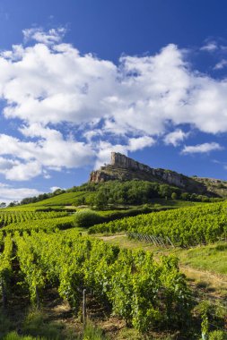Üzüm bağı olan Solutre Kayası, Burgundy, Solutre-Pouilly, Fransa