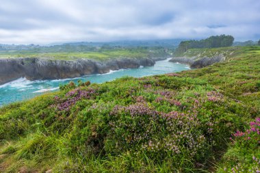 Ribadesella (Ribeseya), Asturias, İspanya yakınlarındaki deniz üzerindeki kayalıkları ile tipik manzara