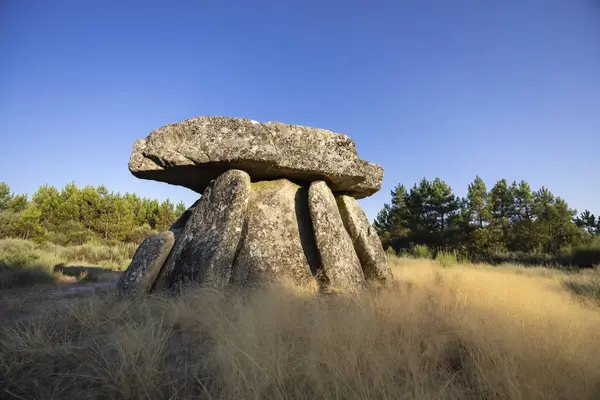 Alijo yakınlarındaki Dolmen Anta de Fonte Coberta, Vila Cha, Portekiz