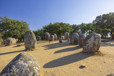Cromeleque dos Almendres, Evora, Portekiz 'de dimdik duran megalitik taşlar açık mavi gökyüzünün altında mistik bir atmosfer yaratıyor.