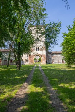 İtalya 'nın Venedik bölgesinde yemyeşil yemyeşil ile çevrili antik Castello di Pojana Maggiore' ye giden yol.