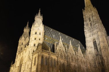 Viyana 'daki Aziz Stephen Katedrali, gece Avusturya