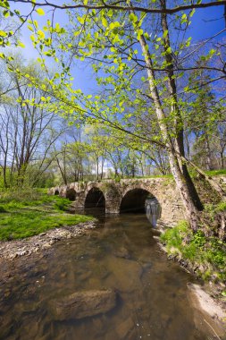 Çek Cumhuriyeti 'nin Zasmuky kenti yakınlarındaki yemyeşil bahar yapraklarıyla çevrili Doubrava nehri üzerindeki antik bir taş köprünün manzarası.