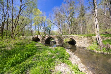 Çek Cumhuriyeti 'nin Zasmuky kenti yakınlarındaki yemyeşil bahar yapraklarıyla çevrili Doubrava nehri üzerindeki antik bir taş köprünün manzarası.