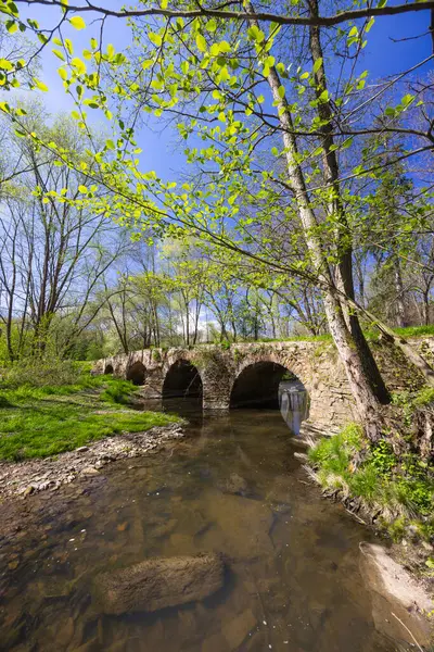 Çek Cumhuriyeti 'nin Zasmuky kenti yakınlarındaki yemyeşil bahar yapraklarıyla çevrili Doubrava nehri üzerindeki antik bir taş köprünün manzarası.