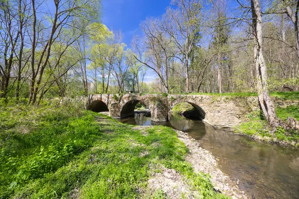 Çek Cumhuriyeti 'nin Zasmuky kenti yakınlarındaki yemyeşil bahar yapraklarıyla çevrili Doubrava nehri üzerindeki antik bir taş köprünün manzarası.