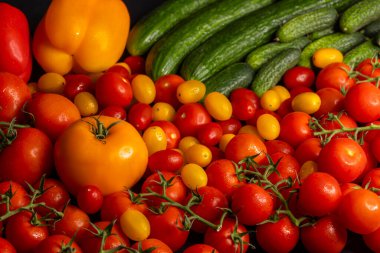 Domates, salatalık ve dolma biber de dahil olmak üzere olgun sebzeler zengin renklerini ve dokularını sergiler.