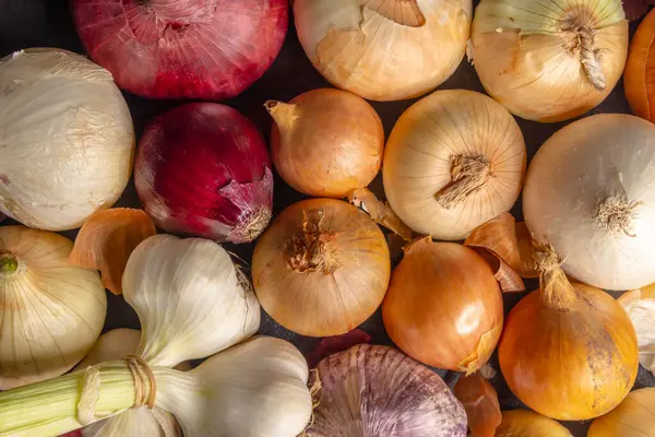 Çeşitli soğan ve sarımsak soğanları sergilenmekte, canlı renkleri ve dokuları sergilenmektedir