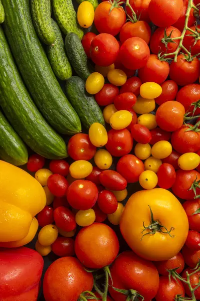 Yeni toplanmış salatalıklar, domatesler ve dolmalık biberler renkli ve sağlıklı bir görüntü oluşturuyor.