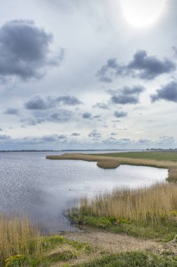 Bulutlu bir günde bulutlu gökyüzünün altında kamış yansımasını gösteren göl manzarası