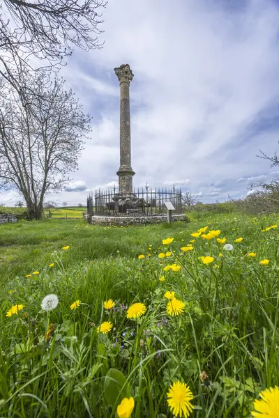 Cussy la Colonne, Bourgogne Franche Comte, Fransa 'da karahindiba ile çevrili Antik Gallo Roma sütunu