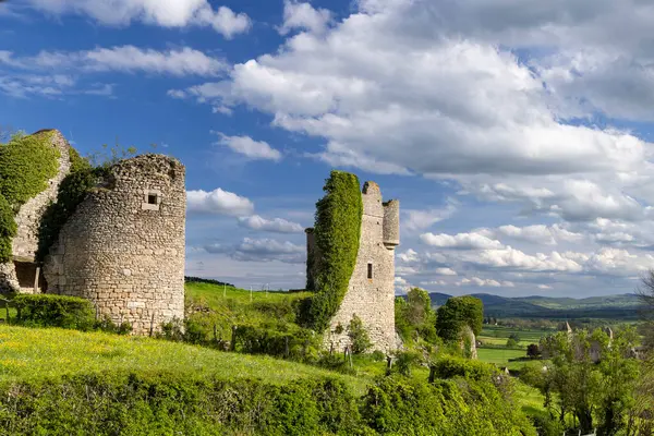 Saone et Loire, Bourgogne Franche Comte, Fransa 'daki yeşil tepenin üzerinde duran Sigy le Chatel Kalesi kalıntıları.