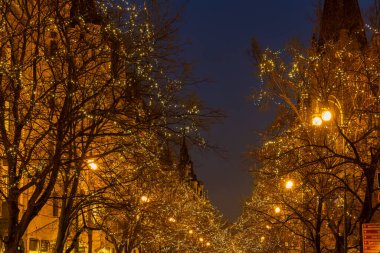 Şenlikli noel ışıkları şehir caddesi boyunca ağaçları süsleyerek büyülü bir tatil ortamı yaratıyor.