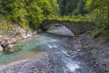 Avusturya, Bregenzerwald 'da yemyeşil bir ormandan akan turkuaz bir nehrin üzerindeki taş kemer köprüsünün manzarası.