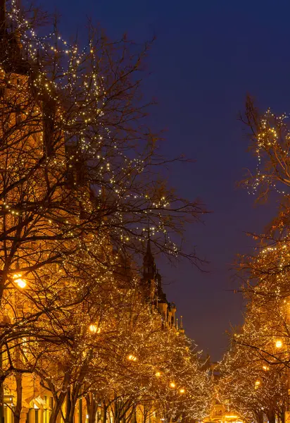 Noel ışıkları alacakaranlıkta şehir caddesi boyunca büyülü bir atmosfer yaratıyor.