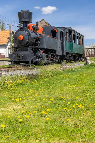 Viglas, Slovakya 'da, güneşli bir günde yeşil çimenler ve sarı karahindibalarla çevrili demiryolunda duran klasik buhar treni.