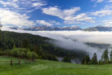 Perca, Trentino Alto Adige, İtalya 'da yeşil tepeleri ve arka planda karlı sıradağları kaplayan büyüleyici bir manzara.