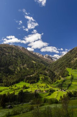 Yeşil tarlalar, ormanlar ve görkemli dağların yer aldığı Avusturya Alpleri 'nin güzel manzarası, resim gibi bir manzara yaratıyor.