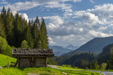 Yeşil çayırları, ormanları, dağları ve bulutlu gökyüzü olan Avusturya Alpleri 'nde taş çatılı küçük ahşap bir kulübe.