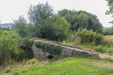Portekiz 'in Portalegre bölgesindeki Marvao belediyesinde bitki örtüsüyle kaplı antik Roma köprüsü