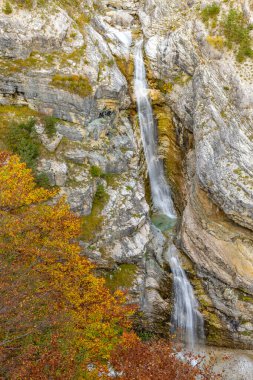 Slovenya 'nın Bovec kentinde renkli sonbahar yapraklarıyla çevrili kayalık bir uçurumdan akan Virje şelalesinin manzarası
