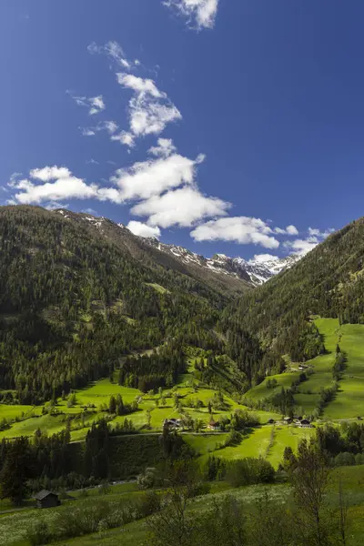 Yeşil tarlalar, ormanlar ve görkemli dağların yer aldığı Avusturya Alpleri 'nin güzel manzarası, resim gibi bir manzara yaratıyor.