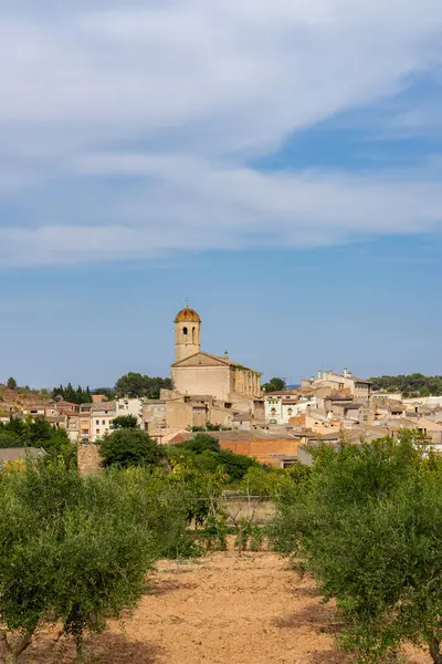 Ön planda Blancafort kasabası ve arka planda kilisesi bulutlu bir gökyüzünün altında zeytin koruluğu.