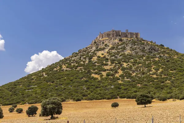 Calatrava la Nueva Şatosu İspanya 'nın Kastilya La Mancha eyaletinin Ciudad Real eyaletindeki Aldea del Rey yakınlarında bir tepede duruyor.