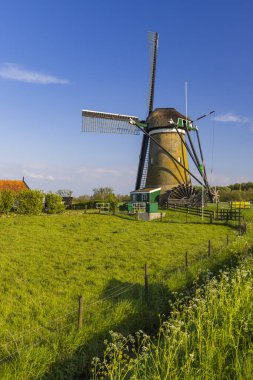 Hollanda 'nın Oud Alblas, Hollanda' da güneşli bir günde yeşil çimlerin üzerinde duran yelkenli değirmeni