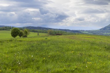 Çekoslovakya 'nın Chvalec kentindeki bulutlu gökyüzünün altında yeşil çayırları, ağaçları ve dağları olan ideal kırsal alan.