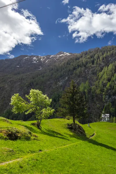 Pragraten am Grosvenediger, Tyrol, Avusturya 'daki Avusturya Alpleri' nin ortasına yerleştirilmiş canlı yeşil çayırlar, ağaçlar ve büyüleyici bir şapelden oluşan manzara.
