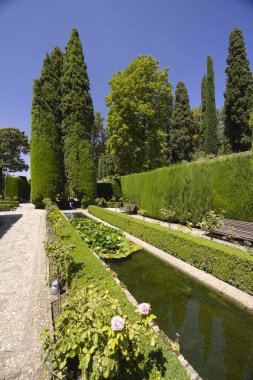 İspanya 'nın Granada kentindeki su pınarları, çitleri ve çiçekleriyle titizlikle korunan Generalife Gardens' ın manzarası.