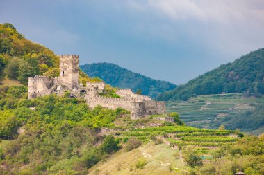 Avusturya, Wachau Vadisi 'ndeki Hinterhaus kalesinin kalıntıları.