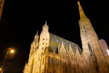 Viyana 'daki Aziz Stephen Katedrali, gece Avusturya