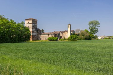 İtalya, Pojana Maggiore kırsalında terk edilmiş eski bir kırsal binanın manzarası, yeşil bir buğday tarlasıyla çevrili.