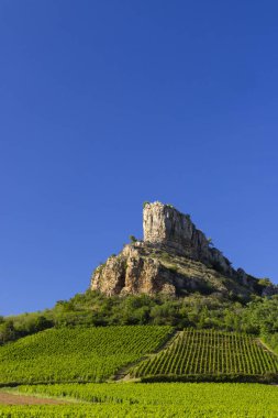 Üzüm bağı olan Solutre Kayası, Burgundy, Solutre-Pouilly, Fransa