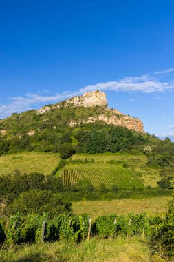 Üzüm bağı olan Solutre Kayası, Burgundy, Solutre-Pouilly, Fransa