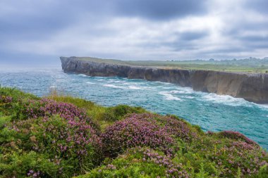 Ribadesella (Ribeseya), Asturias, İspanya yakınlarındaki deniz üzerindeki kayalıkları ile tipik manzara