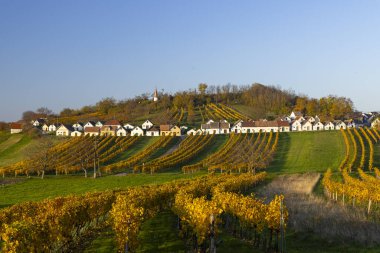 Galgenberg, Aşağı Avusturya 'da geleneksel şarap mahzenleri sokağı (kellergasse)