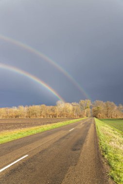 Güzel çift gökkuşağı asfalt yolda beliriyor tarlaları ve ağaçları aşarak kırsalda