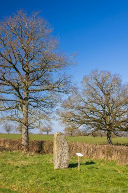 Menhirs Stanches, Saone et Loire, Bourgogne Franche Comte, Fransa