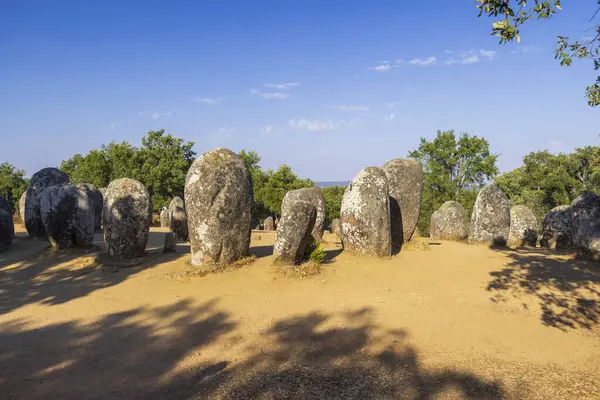 Cromeleque dos Almendres, Evora, Portekiz 'de dimdik duran megalitik taşlar açık mavi gökyüzünün altında mistik bir atmosfer yaratıyor.