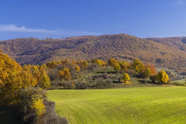 Stiavnicke vrchy dağlarındaki tipik sonbahar manzarası, Slovakya