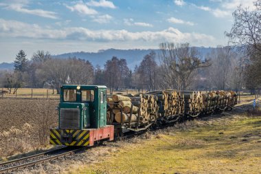 Kırsalda güneşli bir günde kesilmiş ağaç gövdelerini taşıyan eski tren.