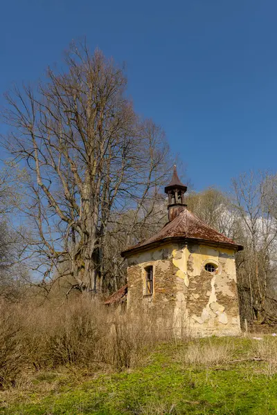 Ormandaki eski çürüyen kilise mavi gökyüzü altında yıkılıyor, zamanın akışını ve doğanın gücünü gösteriyor.