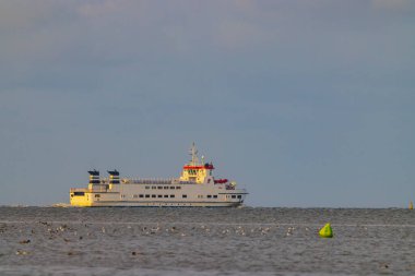 Beyaz feribot sakin denizde yüzen martılarla ve yeşil bir şamandırayla