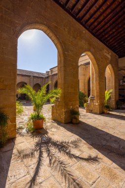 Taş kemerler Baeza, Jaen, Endülüs, İspanya 'daki Santa Maria Katedrali' nin manastırında gölgeler oluşturuyor.