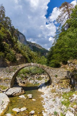 İsaba, Navarre, İspanya 'da yemyeşil bitki örtüsü ve dağlarla çevrili temiz bir nehrin üzerindeki eski bir taş köprünün manzarası.