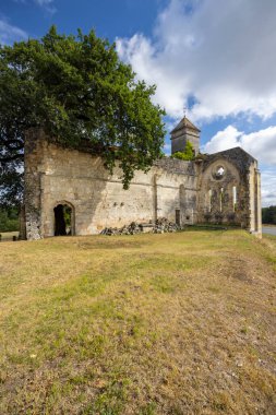 Targon, Fransa 'da büyük ağaç ve mavi gökyüzü olan eski kilise kalıntıları