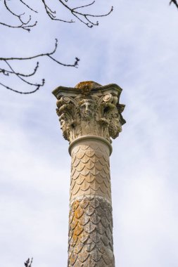 Cussy la Colonne, Fransa 'da eski bir sütunun yıpranmış başkenti. Karmaşık detaylar ve tarihsel önem taşıyor.